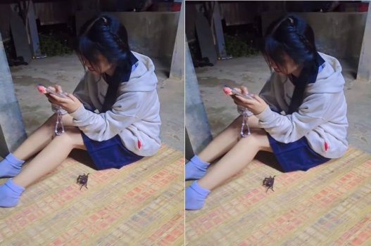 Xinđịt, bạn đến nhà, không thể kiềm chế được và chúng ta đã quấn lấy nhau.